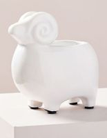 Maceta Ceramic Animal