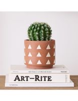 Planta Cactus Faux Potted