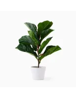 Planta decorativa Faux Potted Higuera