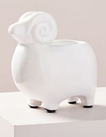 Maceta Ceramic Animal