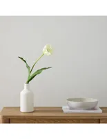 Set de tulipanes Faux White