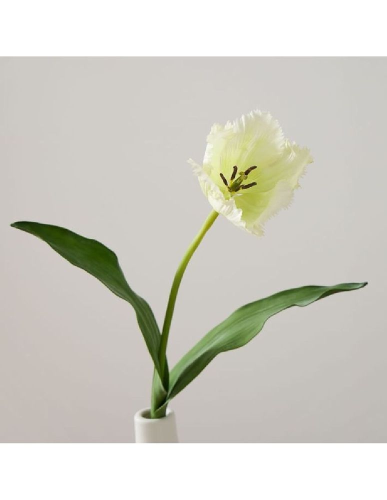 Set de tulipanes Faux White
