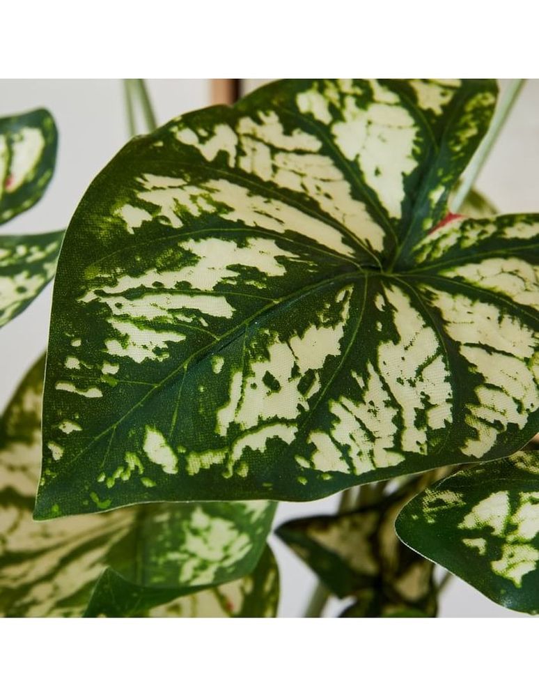 Planta Caladium Faux Potted