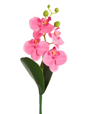 Ramo de orquídea Haus Oly