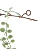 Planta colgante decorativa Crown Baccara con acabado mate
