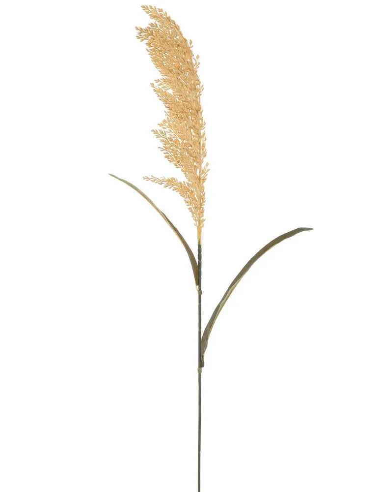 Gold Pampas Grass Stem