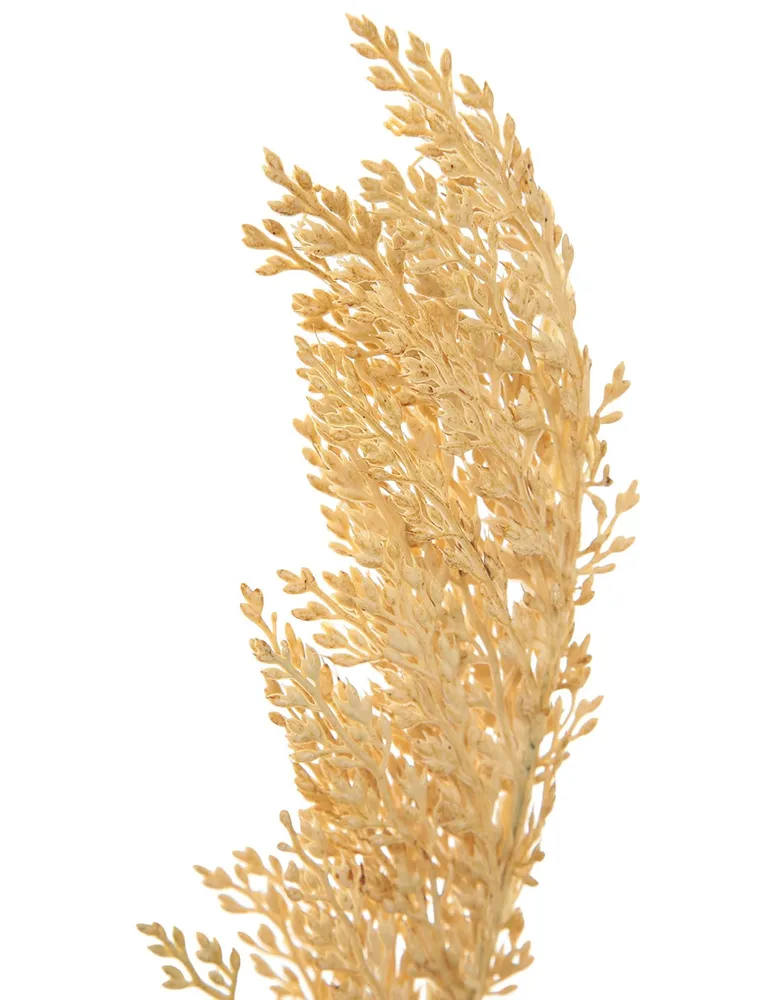 Gold Pampas Grass Stem