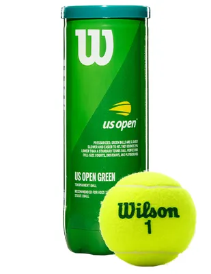 Pelotas Wilson Transition tenis
