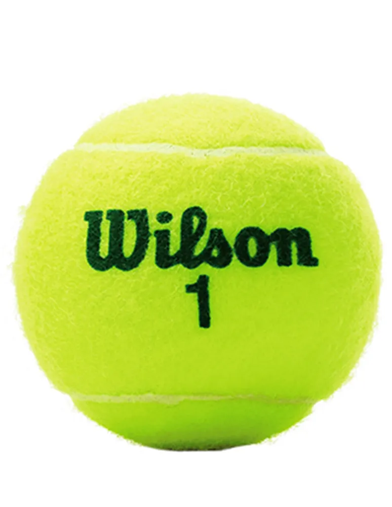 Pelotas Wilson Transition tenis