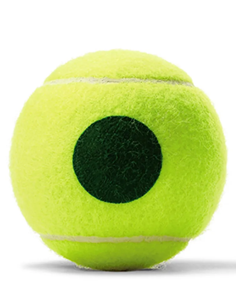 Pelotas Wilson Transition tenis