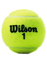 Set de pelotas Wilson Extra Duty