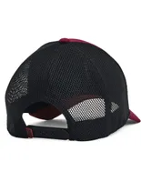 Gorra visera curva snapback Under Armour adulto