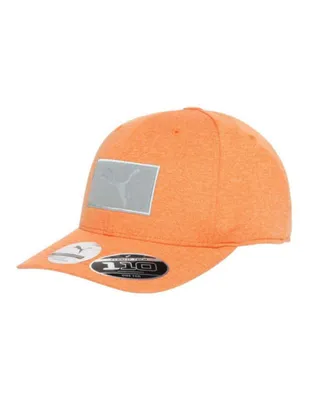 Gorra visera curva snapback Puma para hombre