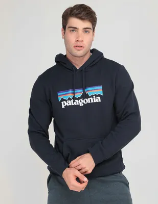 Sudadera Patagonia con capucha estampado logo unisex