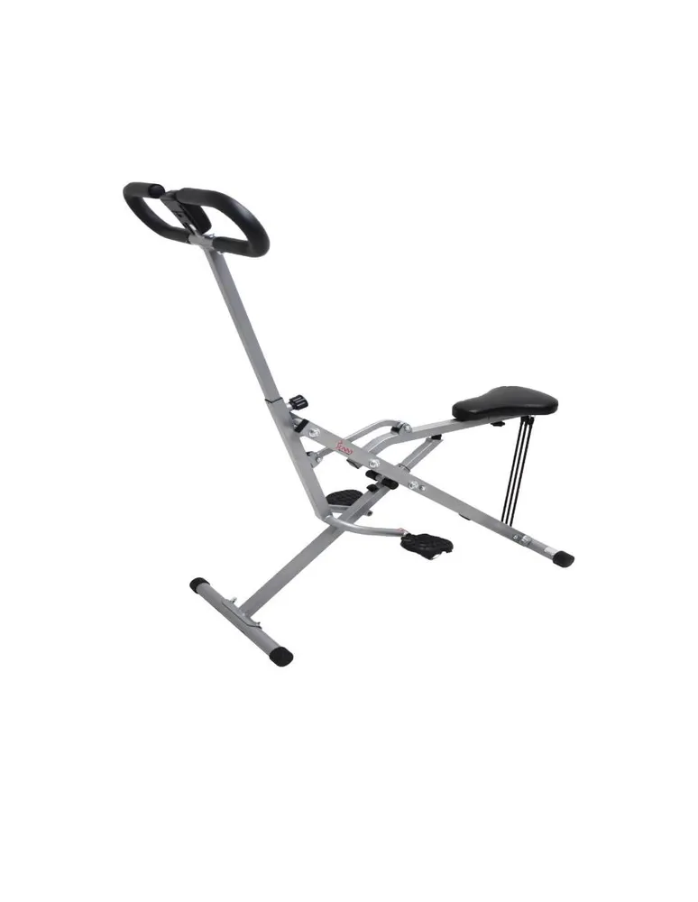 Sunny Health Ejercitador Vertical Row-N-Rider