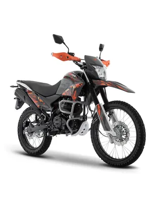 Motocicleta doble propósito Italika Dm250 2023