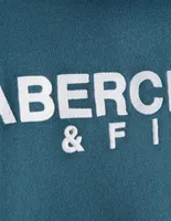 Sudadera Abercrombie & Fitch estampado logo para hombre