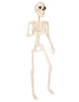 Figura decorativa esqueleto Seasons H Halloween