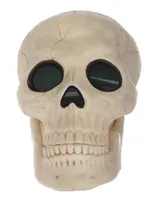 Figura decorativa cráneo Seasons H