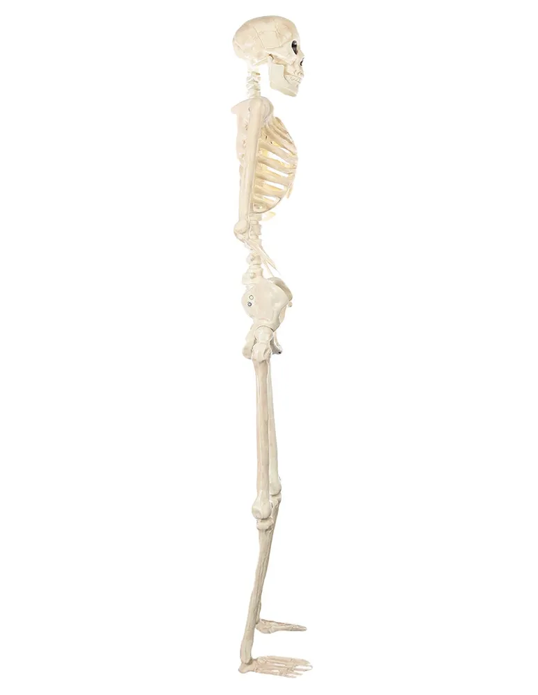 Figura decorativa esqueleto Seasons H