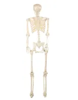 Figura decorativa esqueleto Seasons H