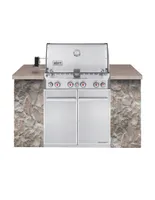 Asador de gas empotrable Weber Summit S-460 plateado