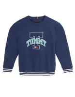 Sudadera Tommy Hilfiger para niño