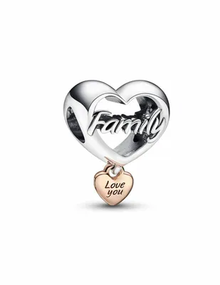 Charm Pandora Moments de plata P925