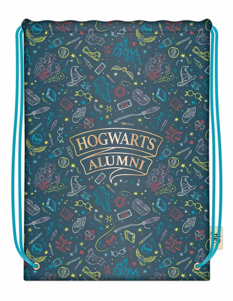 Mochila casual Harry Potter Bluesky unisex