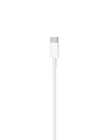 Apple Cable USB C de 1 m