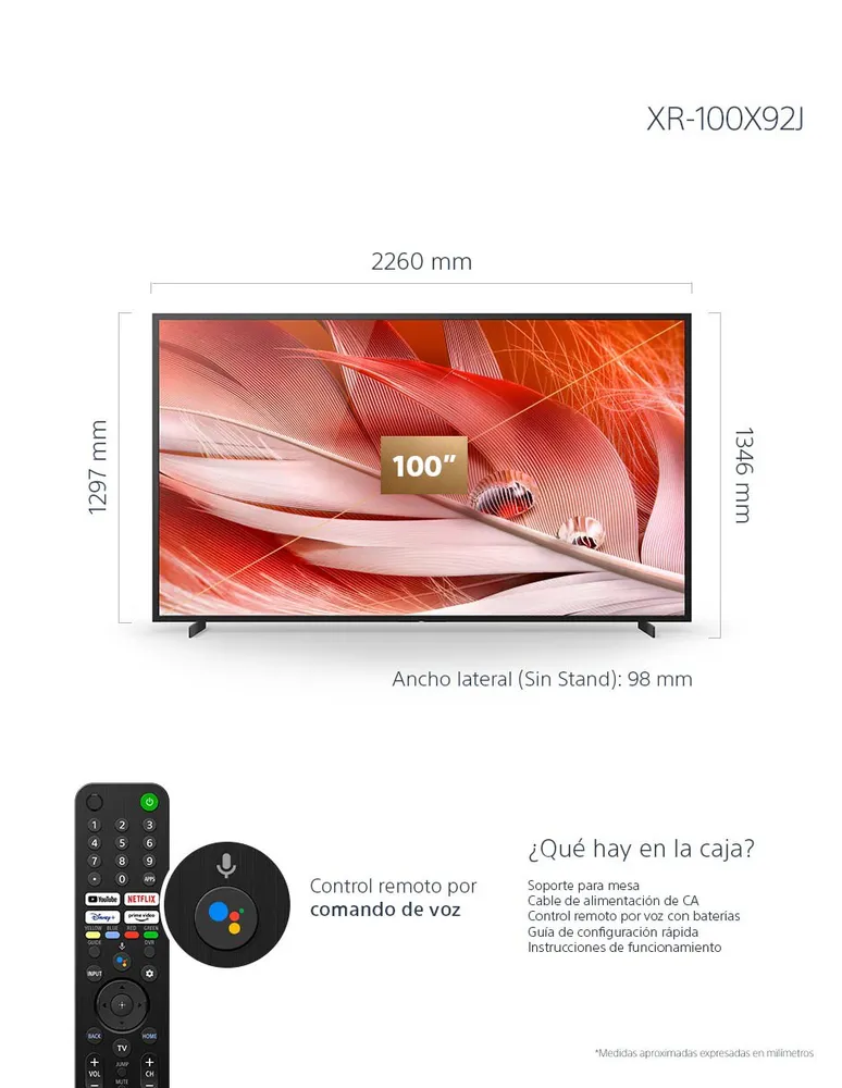 SONY Pantalla Sony LCD smart TV de 100 pulgadas 4K/DOLBY ATMO con Google TV