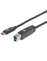 Cable USB C Manhattan a USB B de 2 m