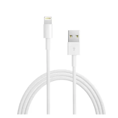 Apple Lightning to USB Cable (1 m) | Verizon