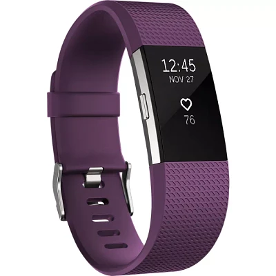 Charge 2 Heart Rate and Fitness Wristband - Plum (Small) | Verizon