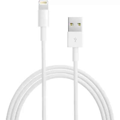 Apple Lightning to USB Cable - 2 Meter | Verizon