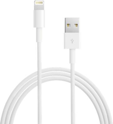 Apple Lightning to USB Cable - 2 Meter