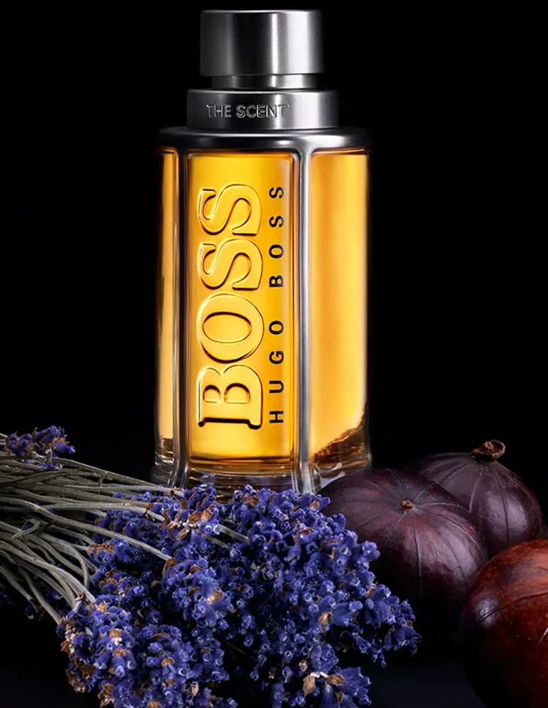 Eau de toilette Hugo Boss The Scent para hombre