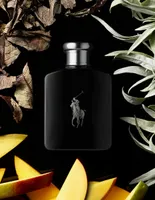 Eau de toilette Polo Ralph Lauren Polo Black para hombre