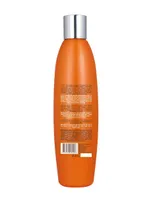 Shampoo hidratante Argán Oil Kareol