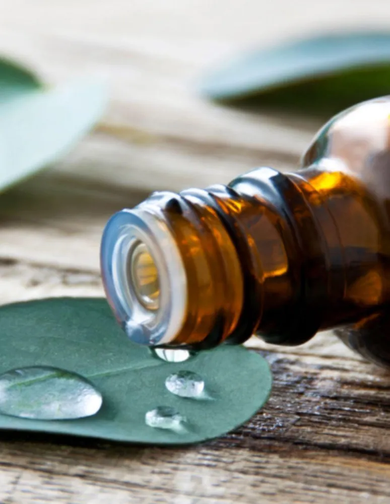 Set aceite esencial de eucalipto Liv Natural