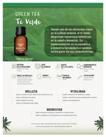 Aceite Oleum Vitae esencial de Té verde