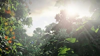 The Last of Us Remastered 