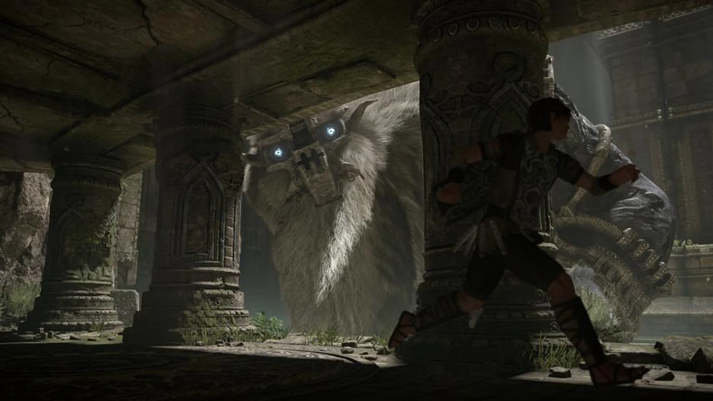 Shadow of the Colossus 