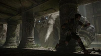 Shadow of the Colossus 