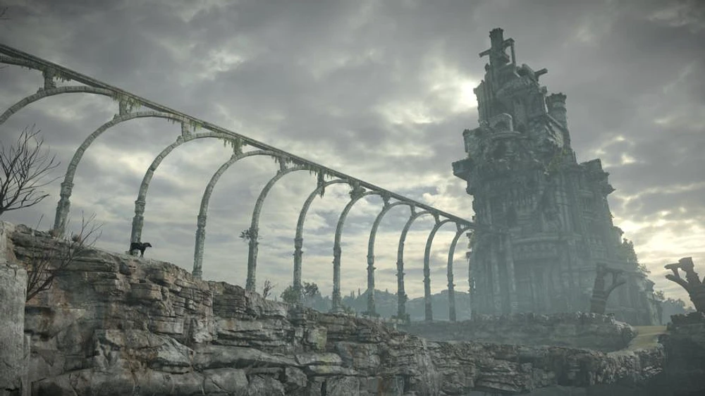 Shadow of the Colossus 
