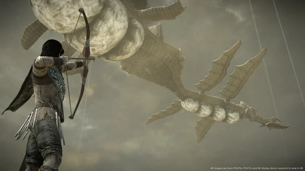 Shadow of the Colossus 