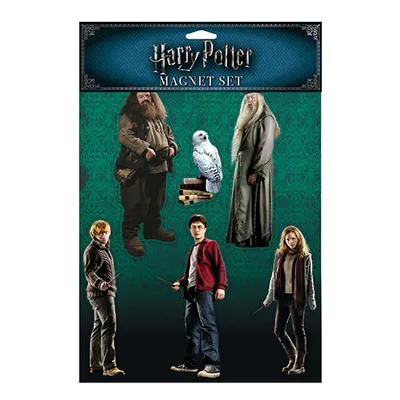 Harry Potter Hero Magnet Set 