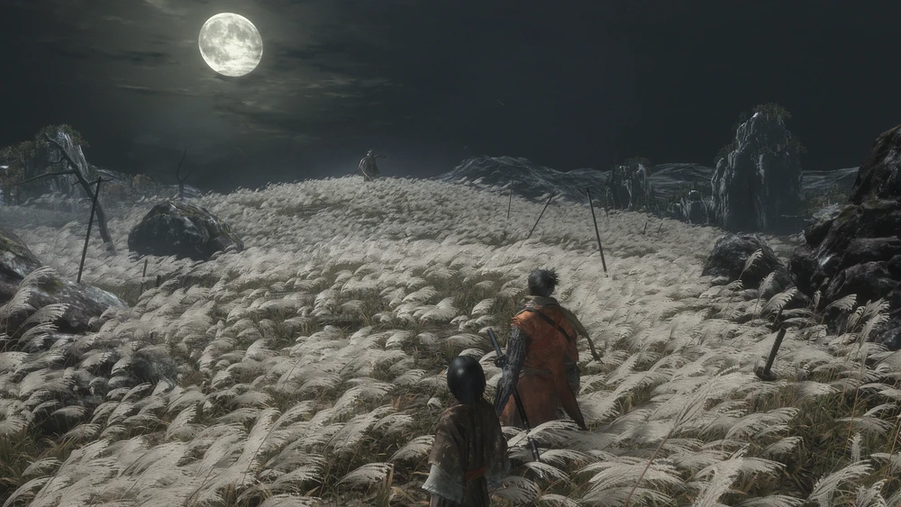 Sekiro: Shadows Die Twice 
