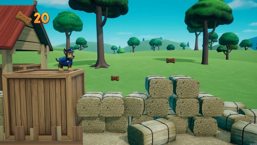 Paw Patrol on A Roll! 