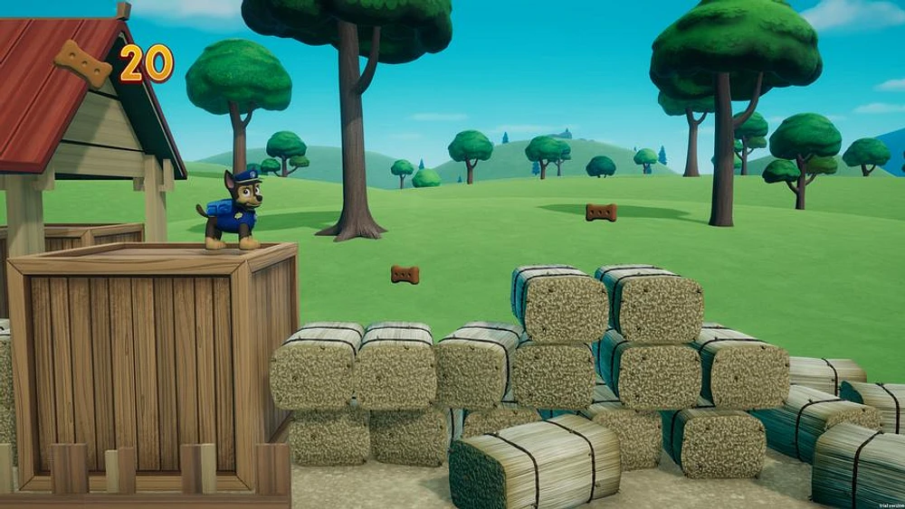 Paw Patrol on A Roll! 